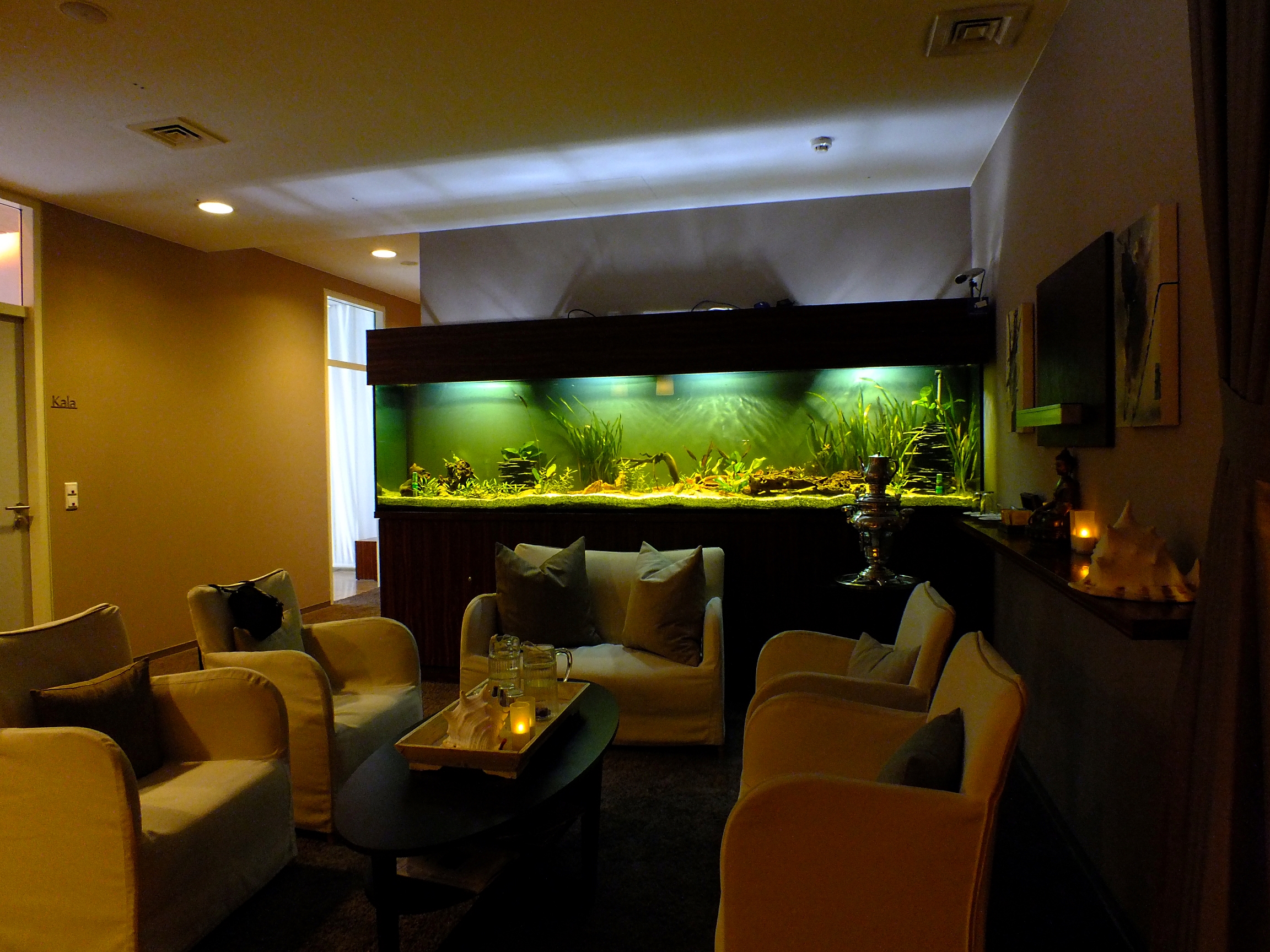 Premium Aquarien Berlin Aquarienpflege, Aquarienbau...