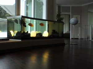 Das Aquarium im Haus