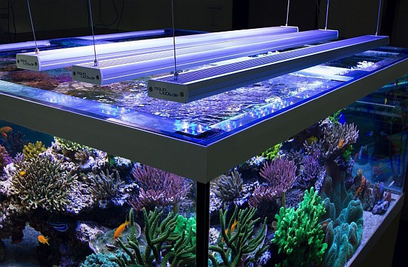 Aquabar LED