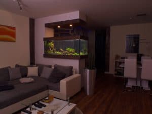 Premium Aquarium Aquarienpflege Berlin - Naturkonzepte & Design