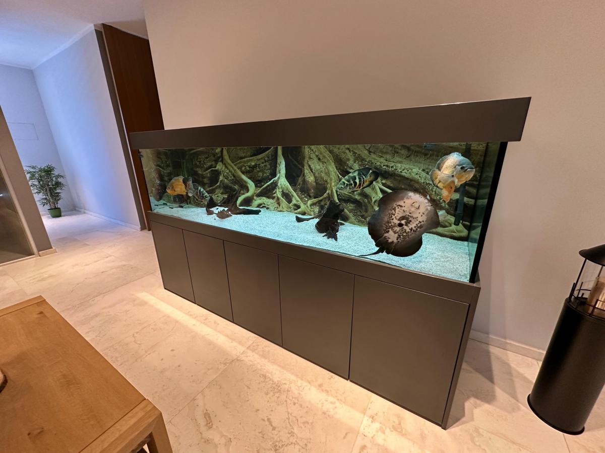 Frontansicht 250 x 60 x 60cm