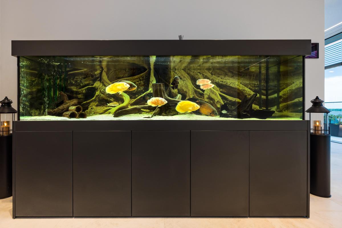 Aquarium 250 x 60 x 60cm